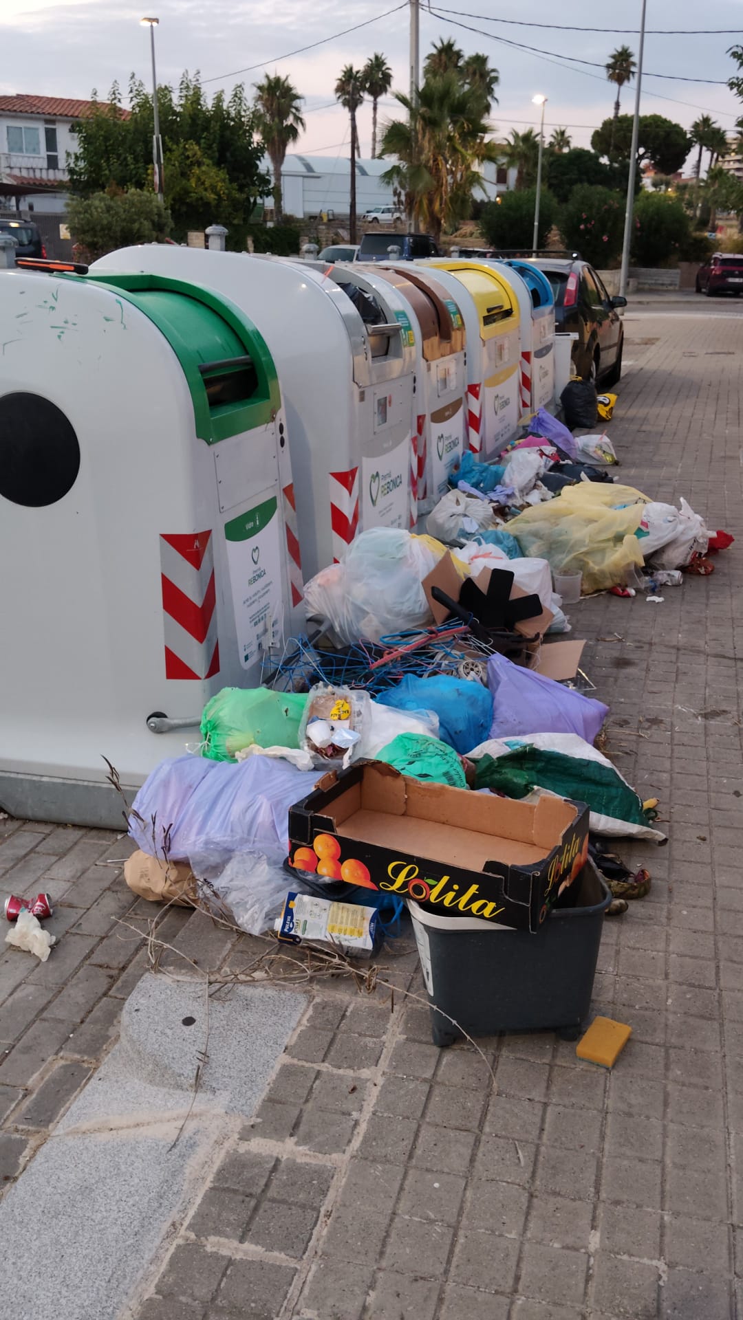 Bosses i objectes dipositats al llarg d’una illa de contenidors